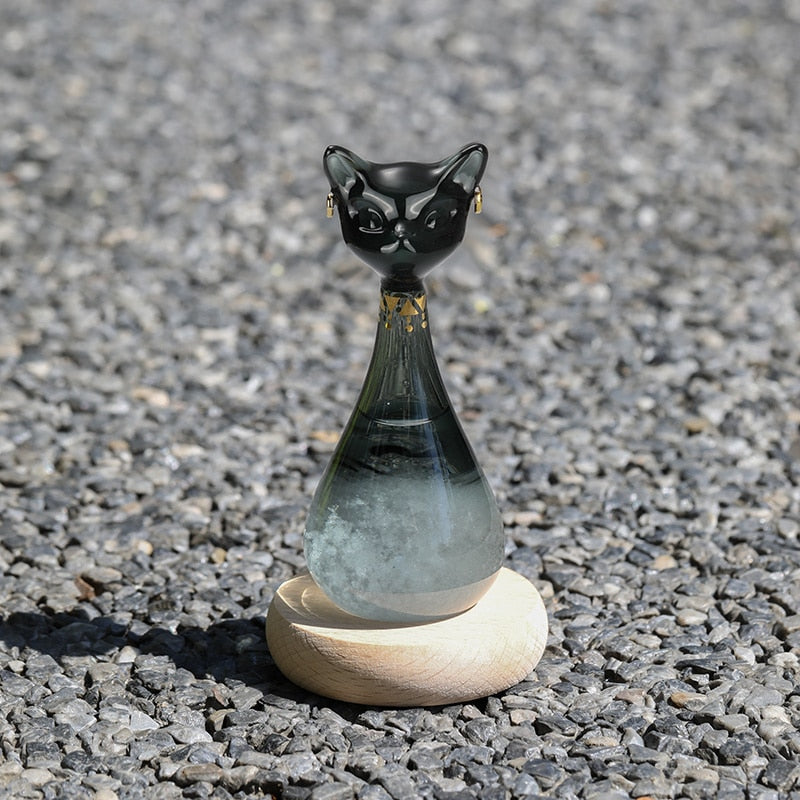 Cat-Inspired Weather Forecast Bottle - Image 1