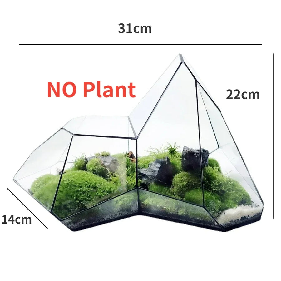 Geometric Glass Moss Planter Terrarium Vase - Image 7