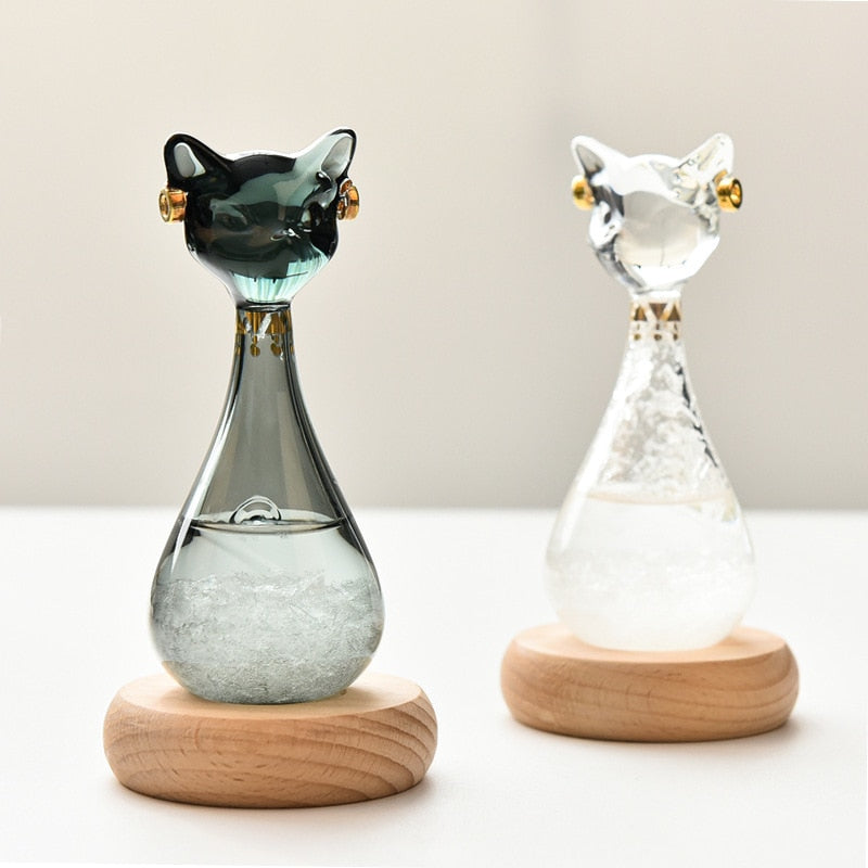 Cat-Inspired Weather Forecast Bottle - Image 0