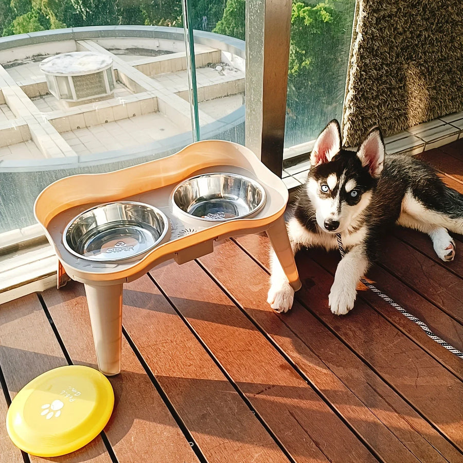Elevated Healthy Digestion Comfortable Feeding Dog Bowls - Image 2