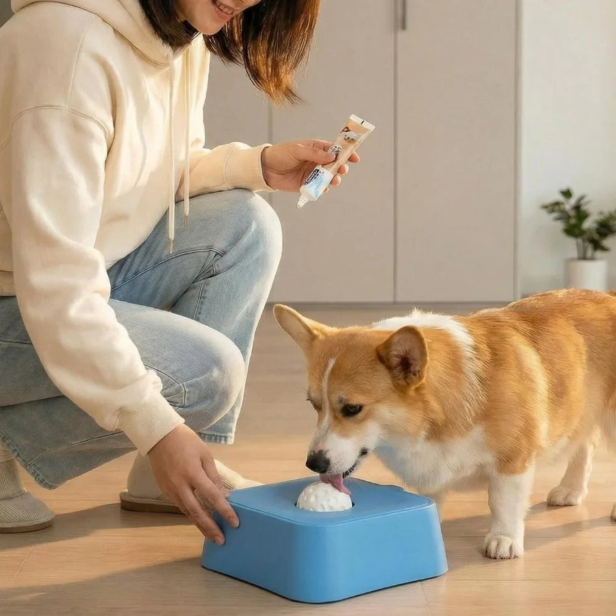 Snack Wheel Rotating Slow Feeder Pet Bowl