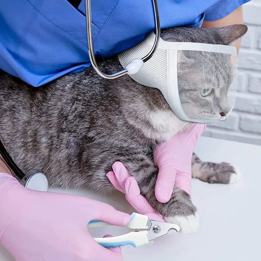 Anti-bite Breathable Small Pet Safety Mask - Image 1