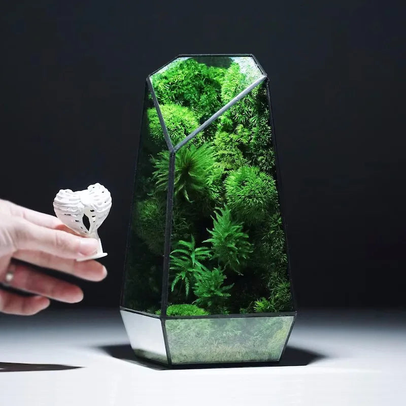 Modern Geometric Nature-Inspired Botanical Terrarium - Image 1