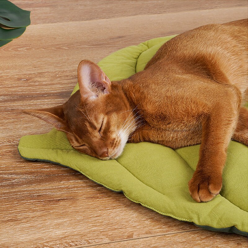 Leaf Comfy Cat Bed - Image 2
