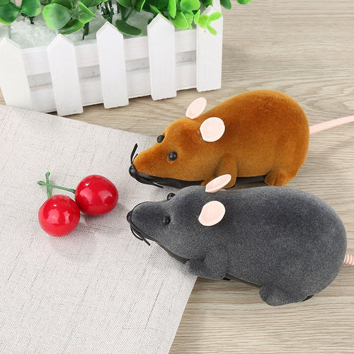 Pet Interactive Remote Control Toy - Image 0