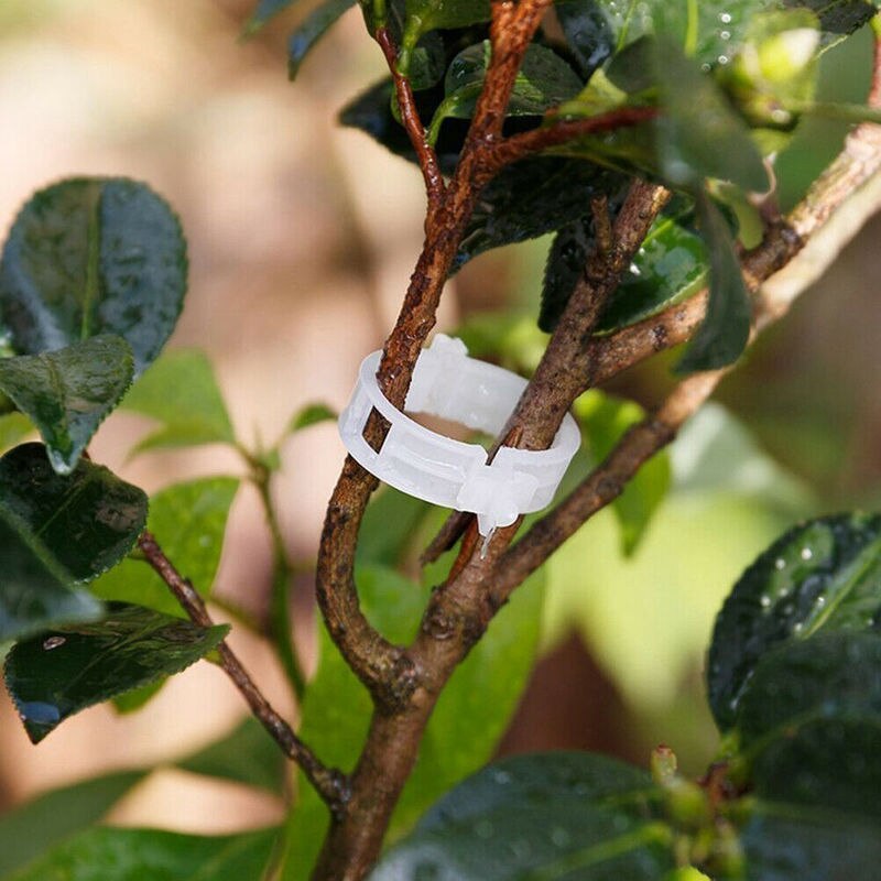 Green Garden Safe Plant Support Clips - Image 1