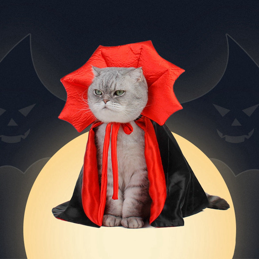 Vampire Cat Halloween Costume - Image 0