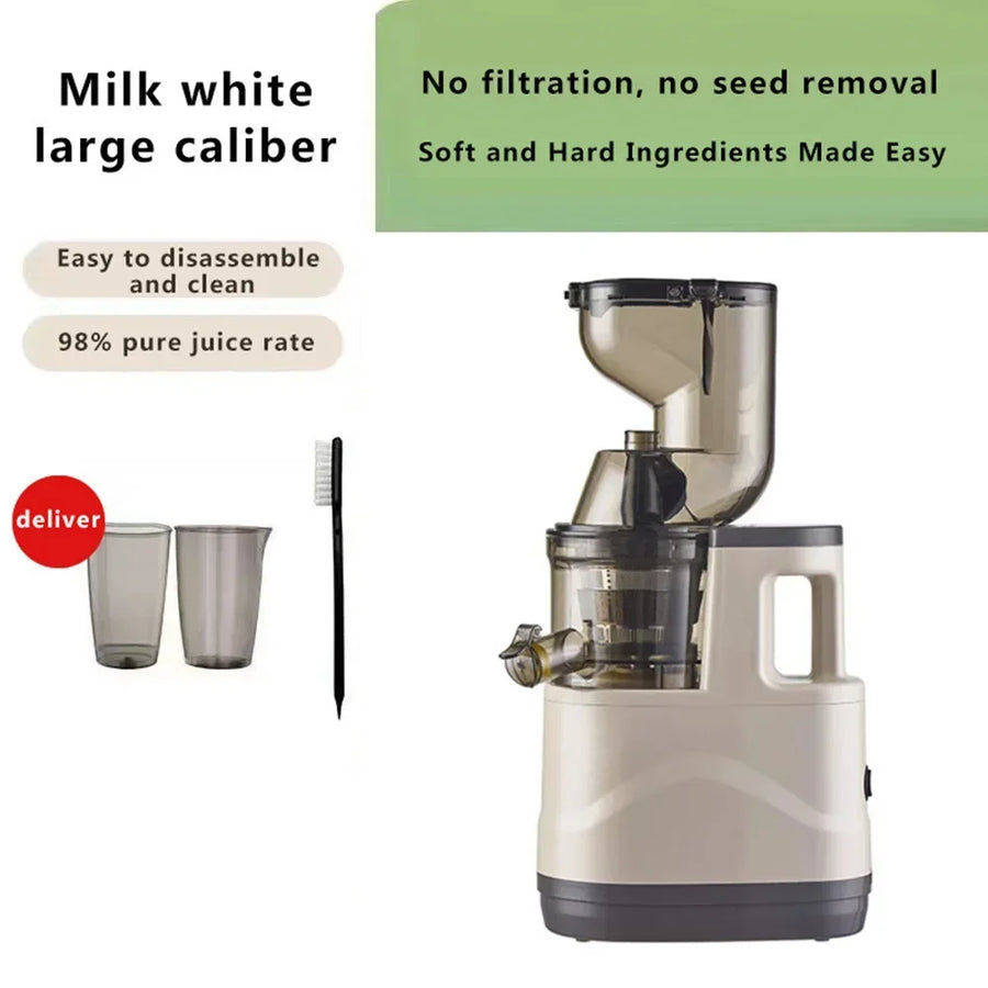 Electric Masticating Quick Vitamin Juicer Machine - Image 9