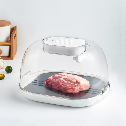 Smart Quick Defrosting Box Machine - Image 0