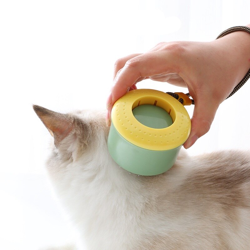 One Click Clean Mini Cat Hair Removal Brush - Image 3