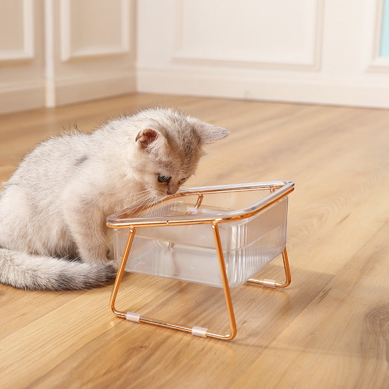 Transparent Non-slip Double Pet Bowl - Image 1