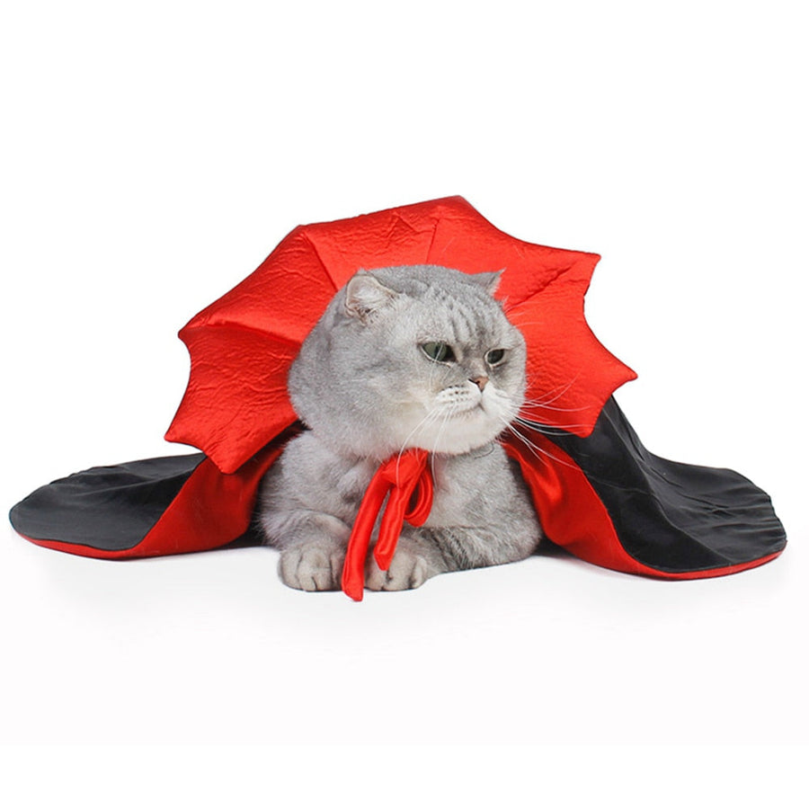 Vampire Cat Halloween Costume - Image 6
