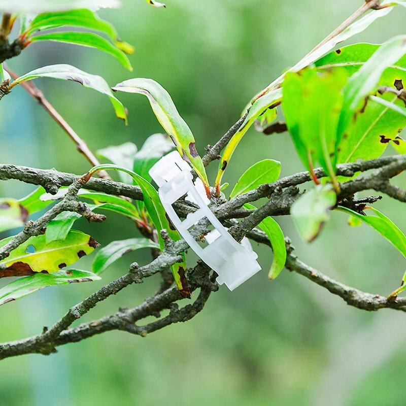 Green Garden Safe Plant Support Clips - Image 2