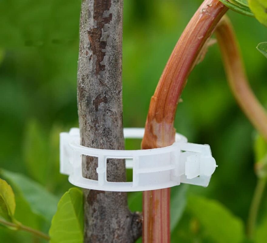 Green Garden Safe Plant Support Clips - Image 3
