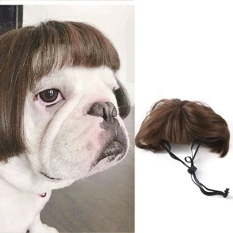Auntie Style Funny Pet Wig - Image 5
