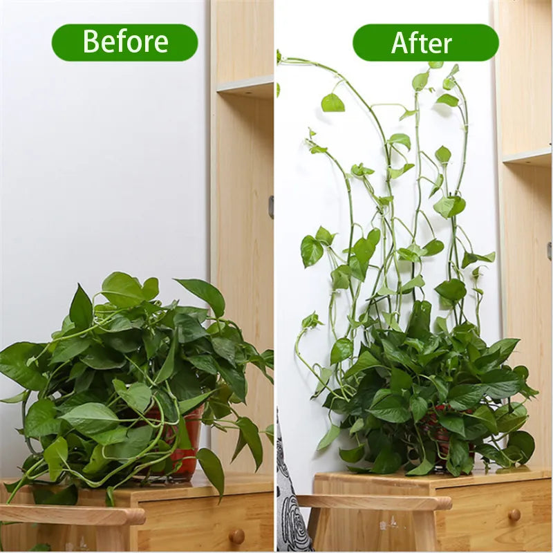 Self-Adhesive Plant Holder Mini Wall Clips - Image 1