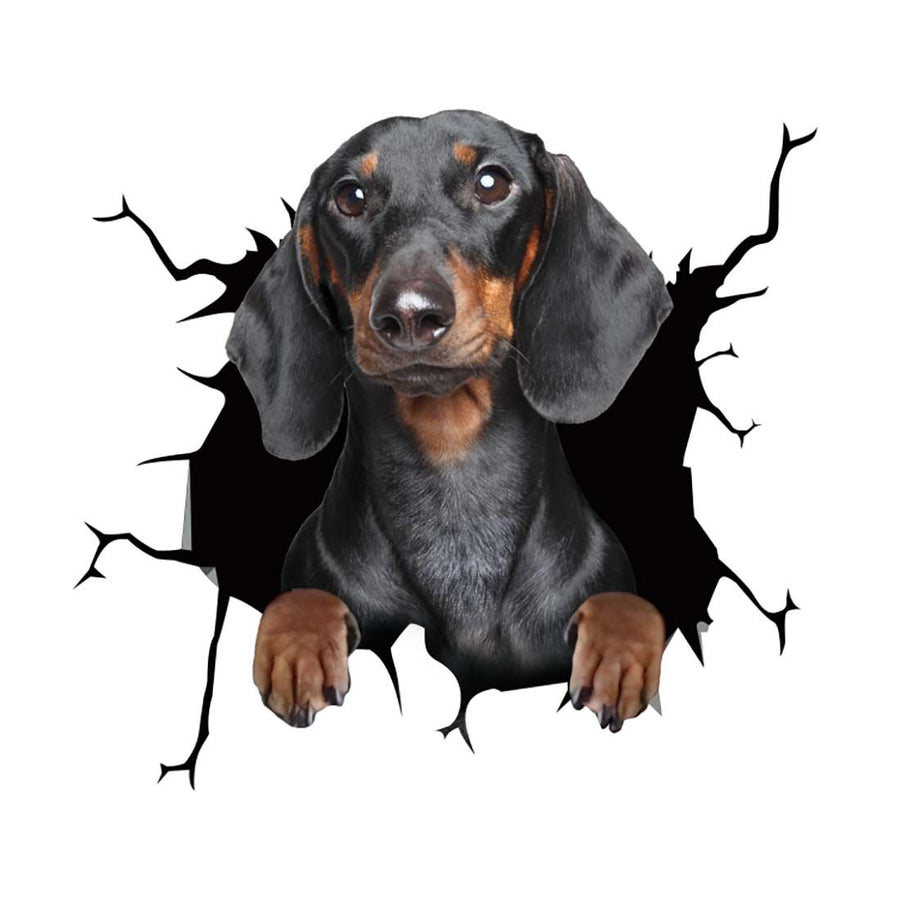 Car Scratch Hider 3D Puppy Sticker - Image 10