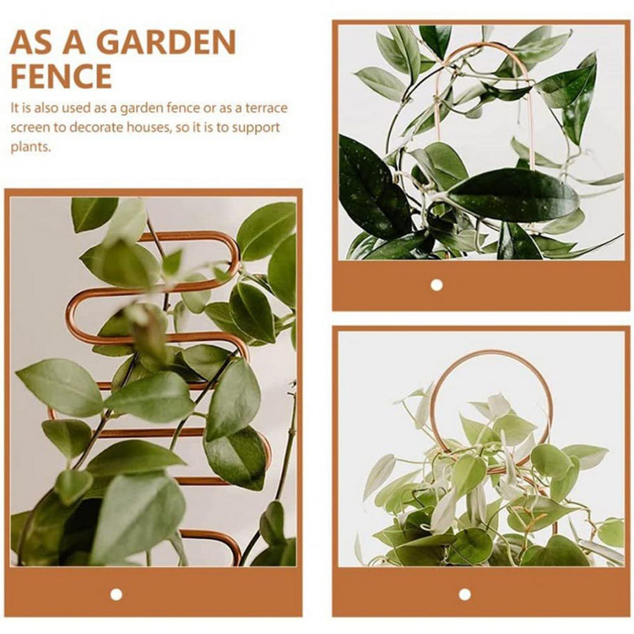 Nordic Plant Climbing Rack - Image 1