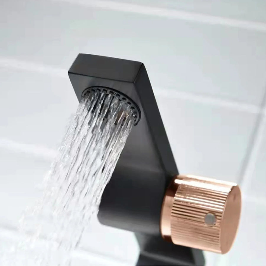 Elegant Touch Single Dual Control Bathroom Faucet - Image 3