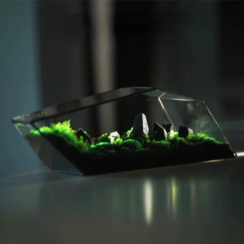 Geometric Glass Moss Planter Terrarium Vase - Image 1