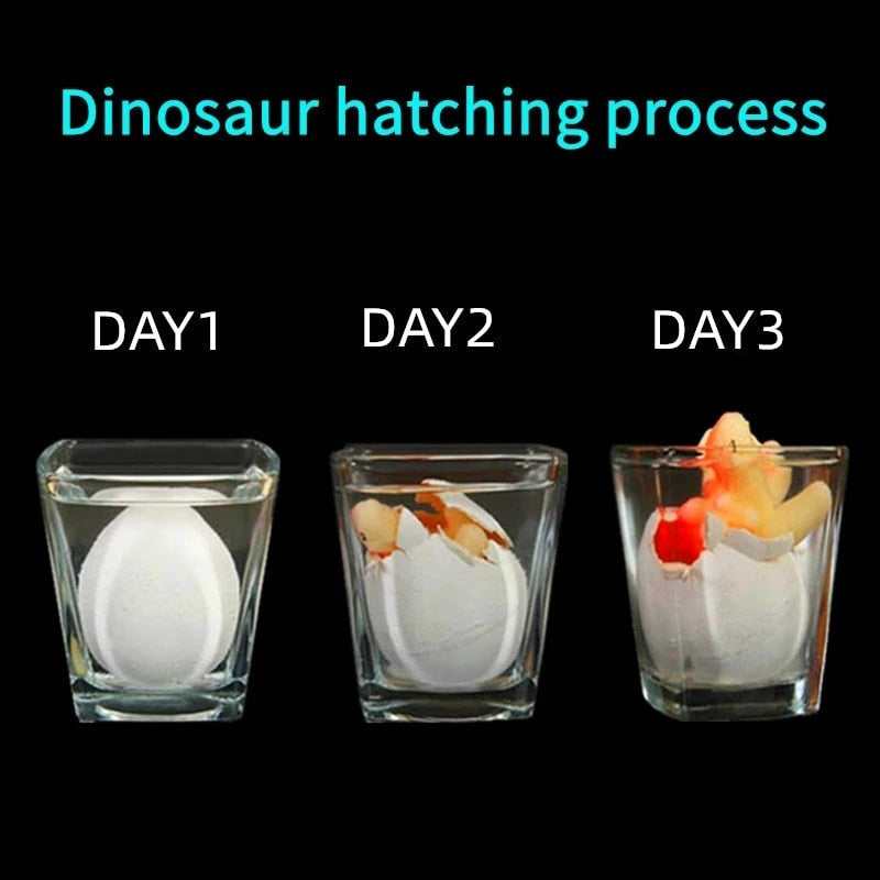 Dinosaur Hatching Magic Water Growing Egg - Image 4