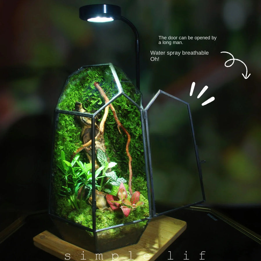 Modern Geometric Nature-Inspired Botanical Terrarium - Image 4