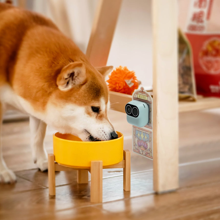 Home Hero Wireless Smart Monitoring Camera - Image 4