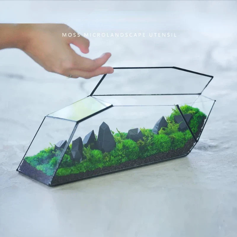 Geometric Glass Moss Planter Terrarium Vase - Image 3