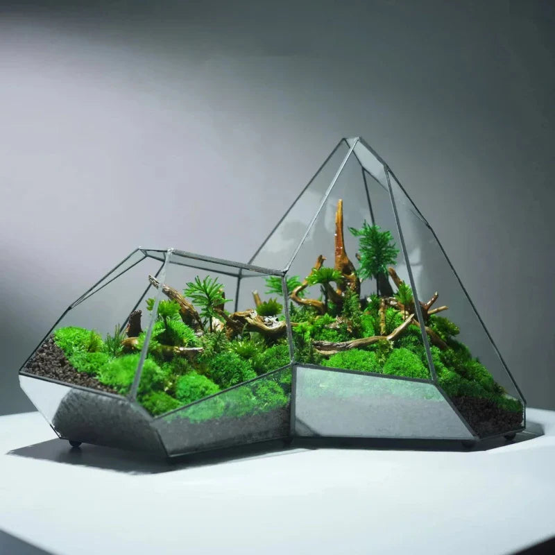 Geometric Glass Moss Planter Terrarium Vase - Image 2