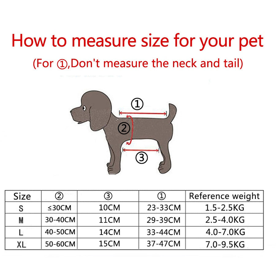 Breathable Mesh Pet Journey Carrier Backpack - Image 3