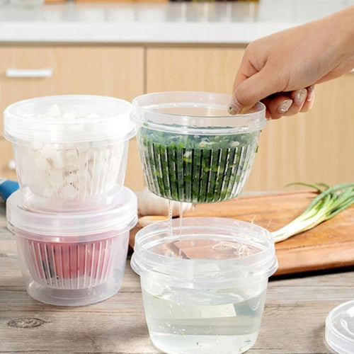 Vegetable Fresh-Keeping Drainer Mini Container - Image 0