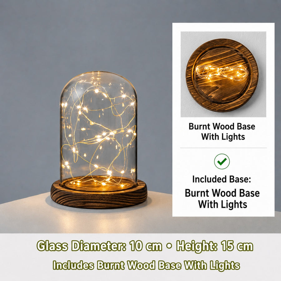 Christmas Cylinder Glass Dome Display with Wooden Base