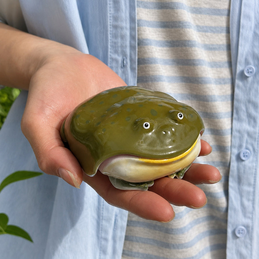 Chubby Frog AirPods Case
