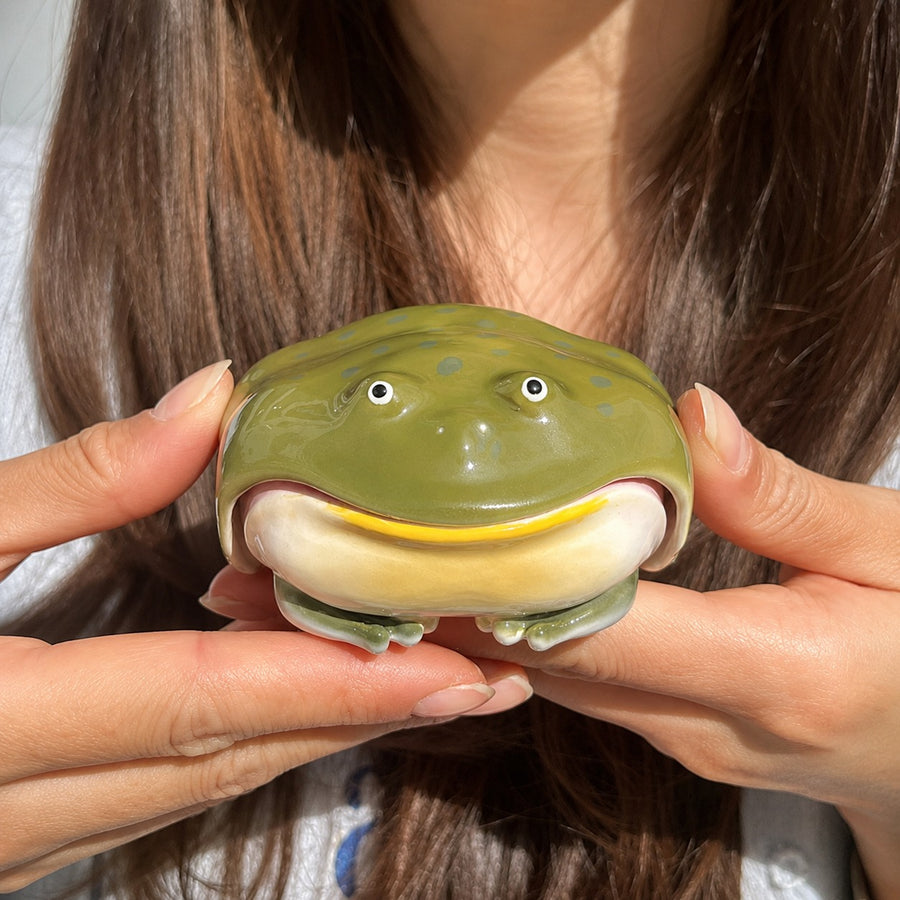Chubby Frog AirPods Case