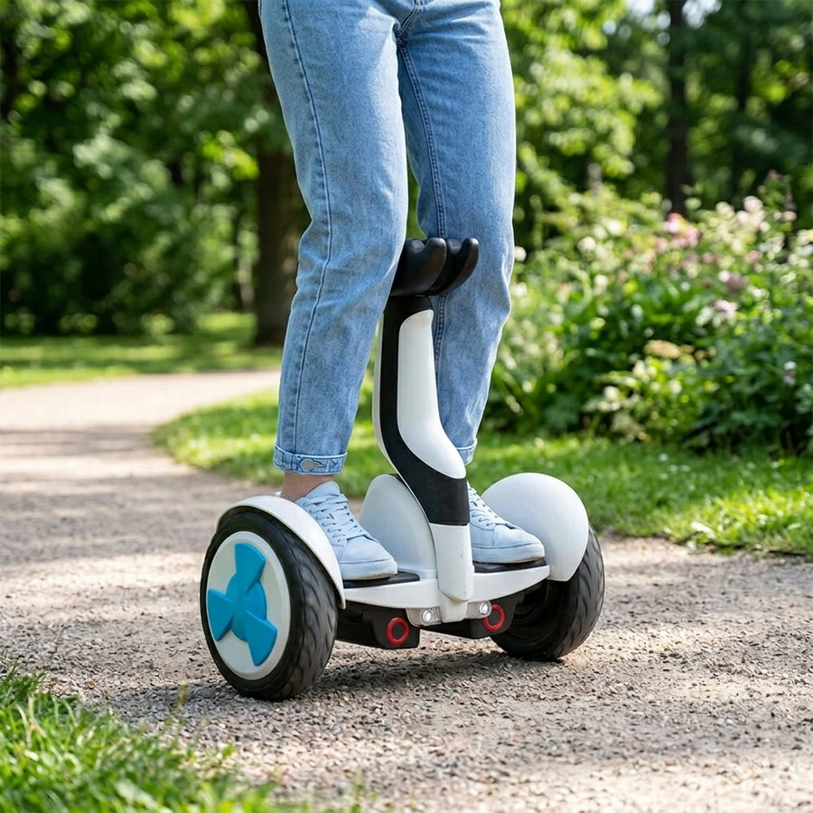 Zweirad-Ausgleichs-Elektro-Scooter