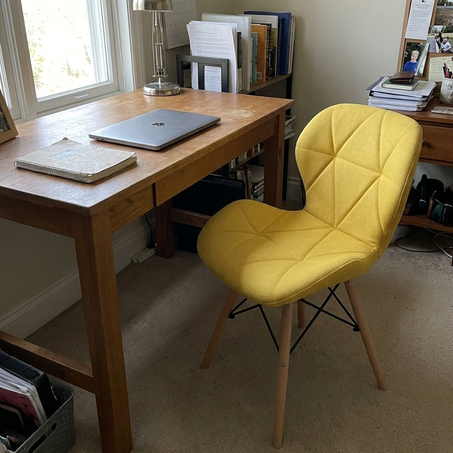 Modern Simple Colorful Home Chair