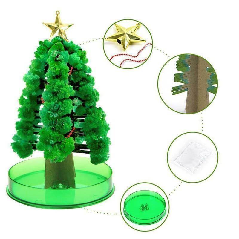 DIY Magic Growing Christmas Tree - Image 2