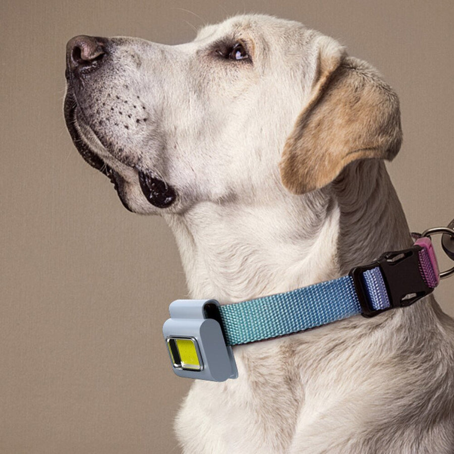 Pocket Must-Have Mini Magnetic Walking Lamp Clip - Image 3