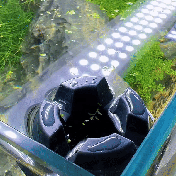 Fish Tank Water Surface Cleaner - Image 2