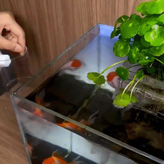 Aquarium Transparent Suction Fish Feeder - Image 2