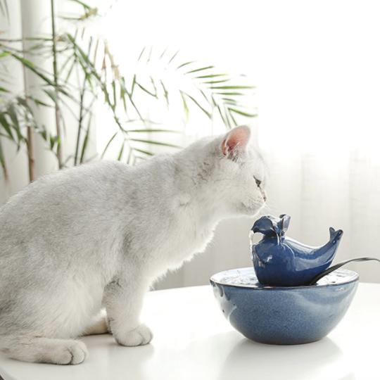 Automatic Circulating Pet Water Dispenser - Image 1