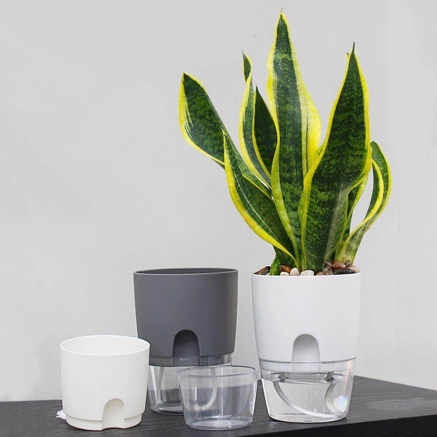 Self-watering Plant Pot with Water Container - Image 9