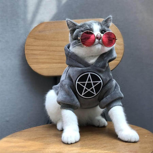 Pet Fashion Hoodie - Image 0
