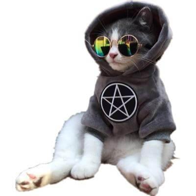 Pet Fashion Hoodie - Image 4