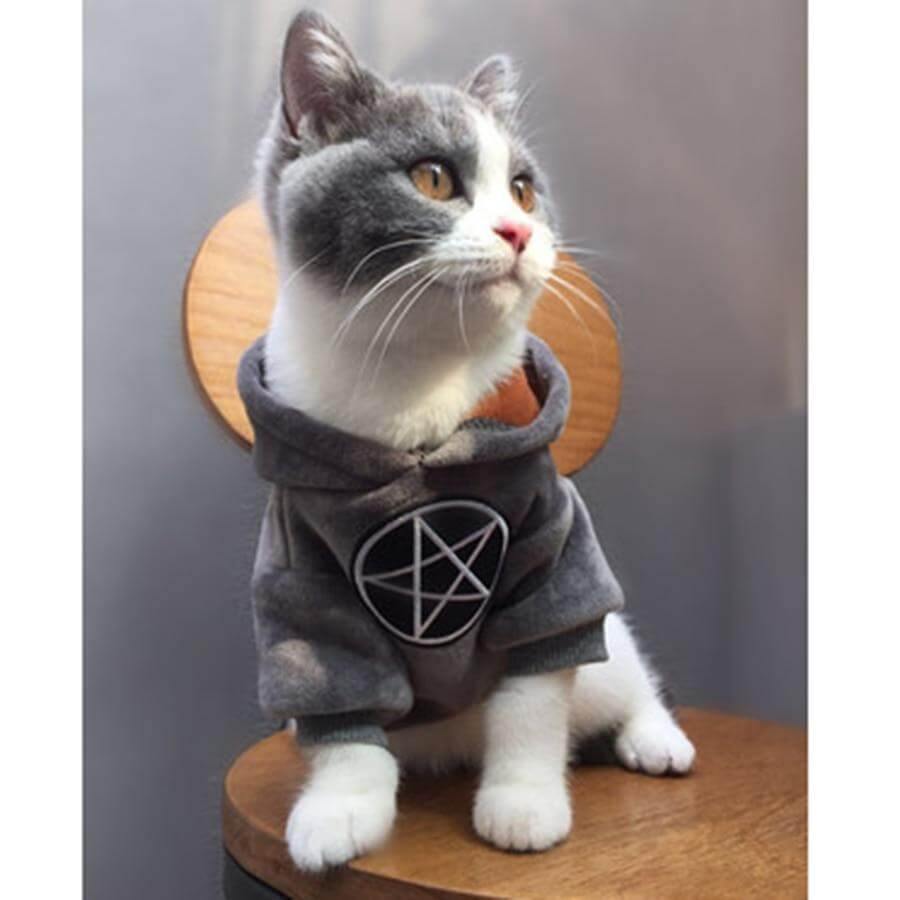 Pet Fashion Hoodie - Image 3