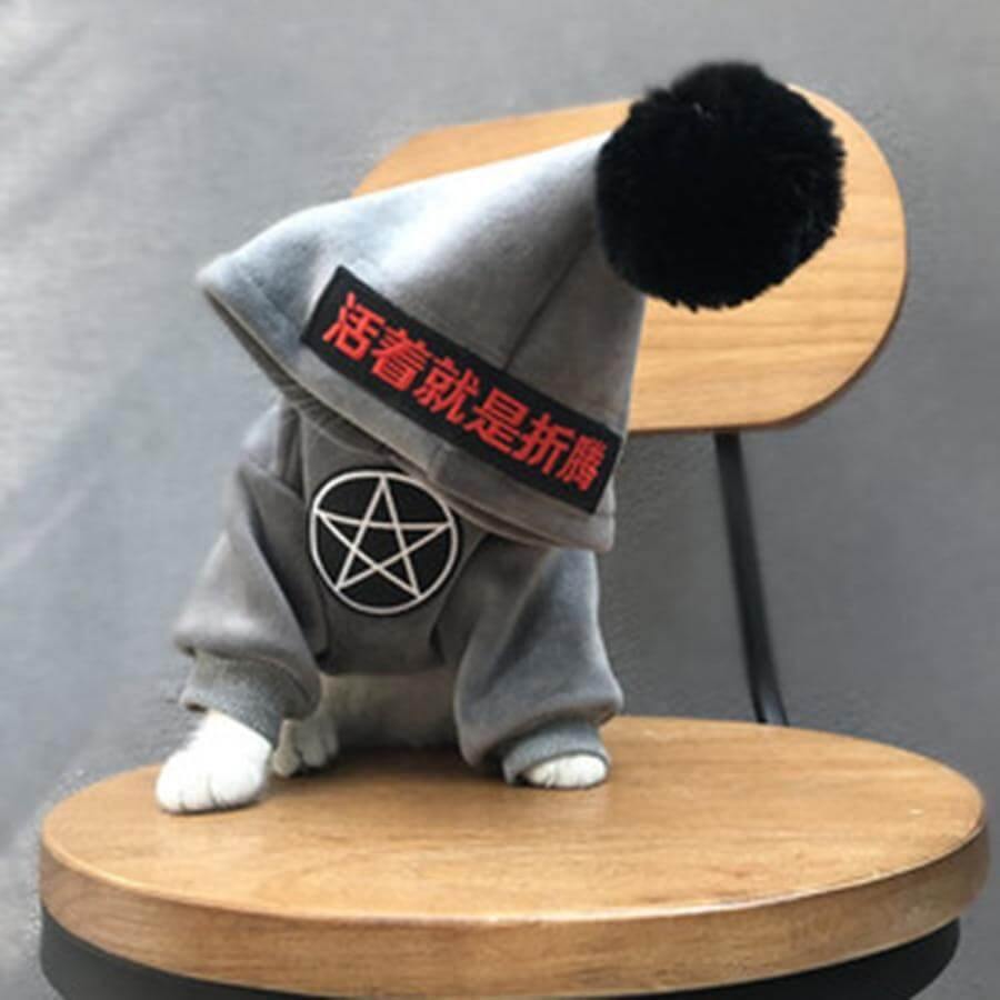 Pet Fashion Hoodie - Image 2