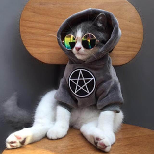 Pet Fashion Hoodie - Image 1