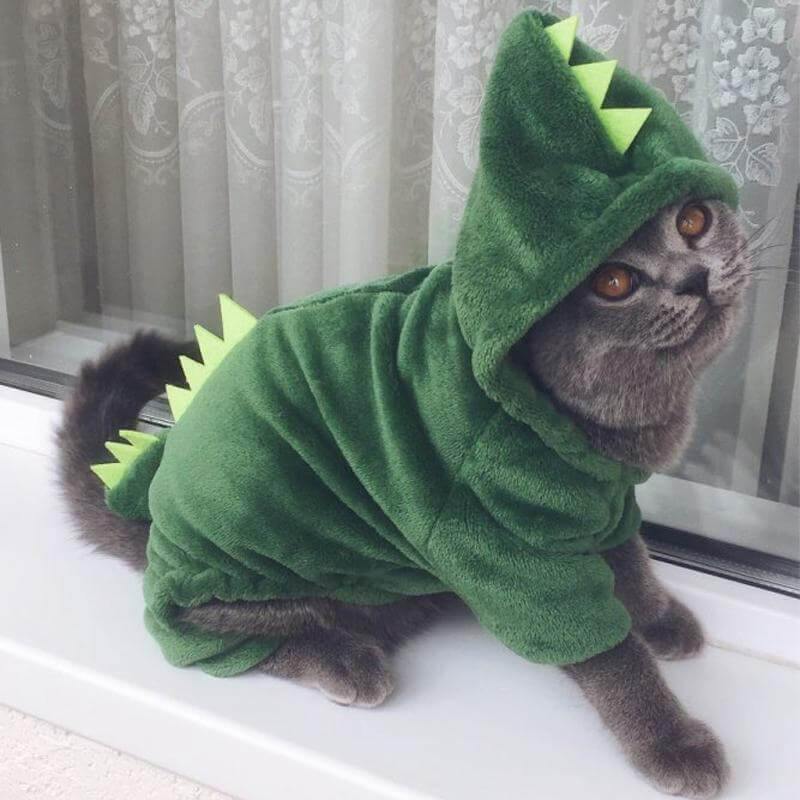 Dinosaur Funny Pet Costume - Image 4