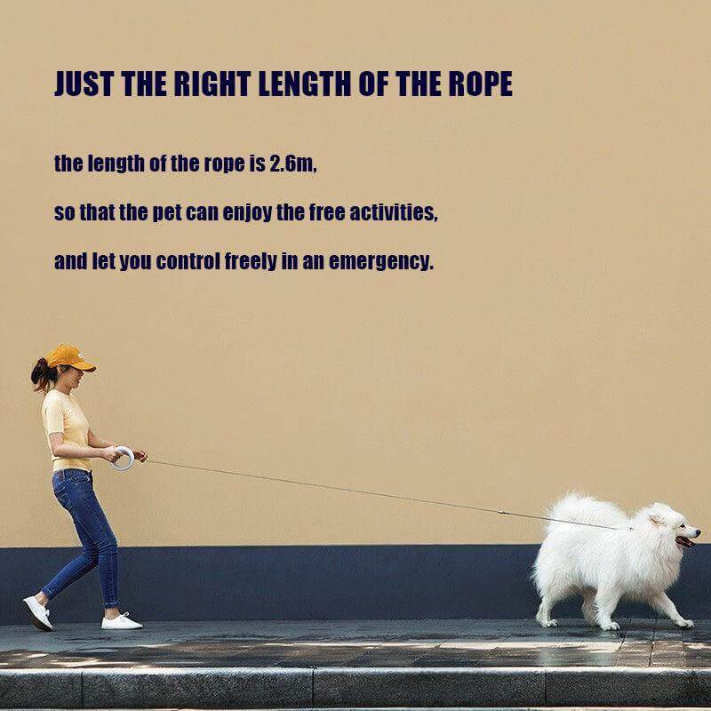 Retractable LED Leash Ring Collar - Image 5
