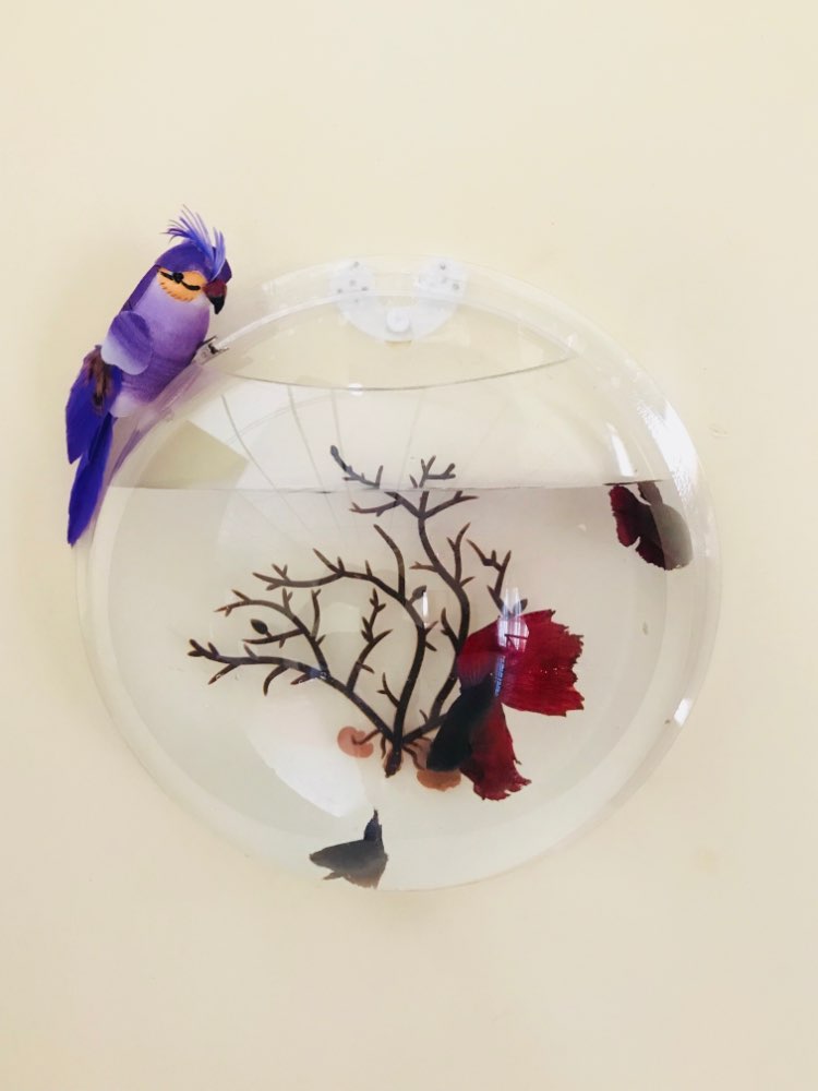 Wall-Mounted Modern Acrylic Fish Tank - Image 9